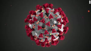 Parenting Coronavirus Questions Answered