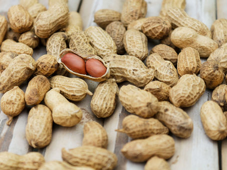 New Patch for Peanut Allergies